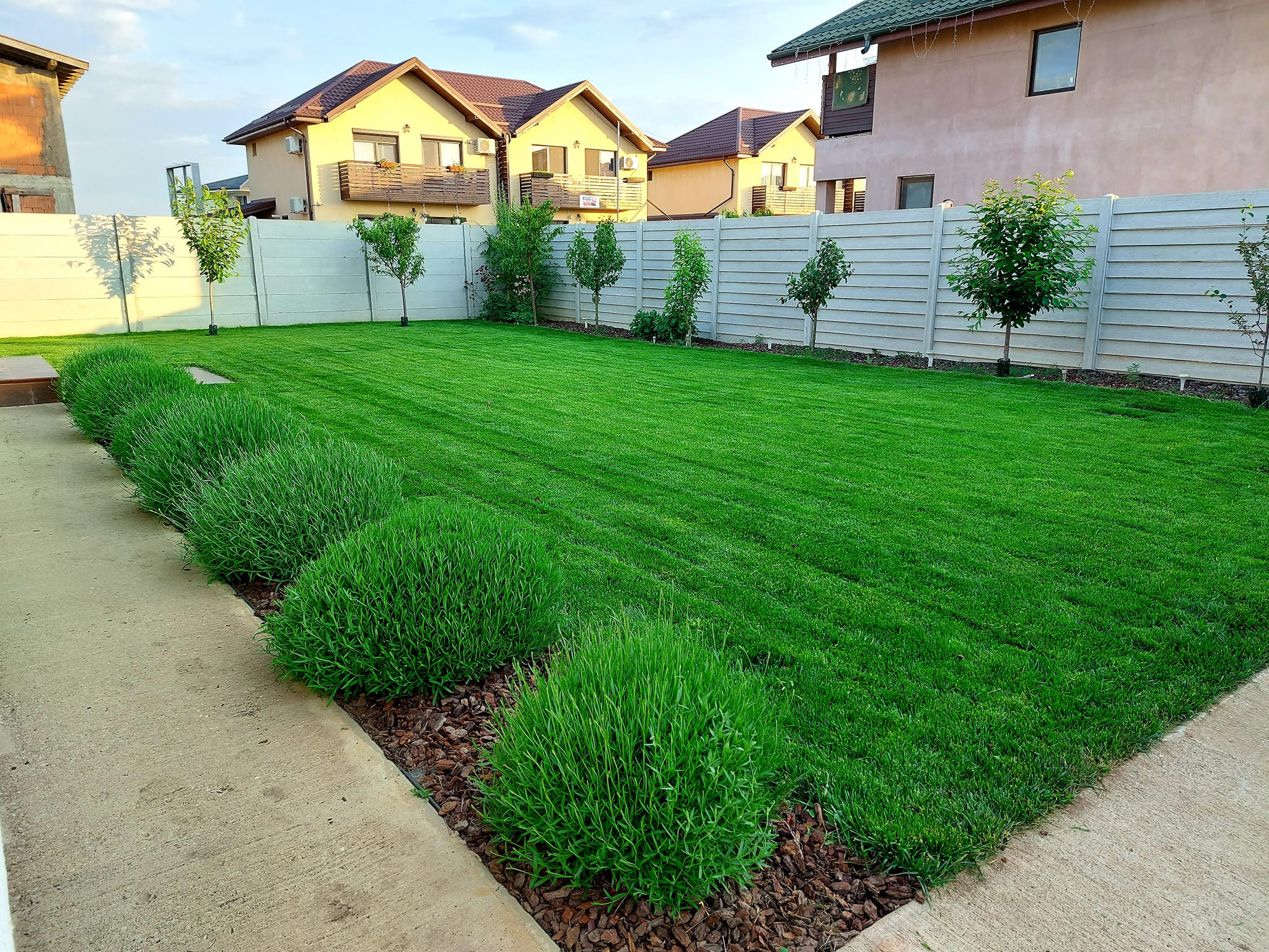 Insamantare gazon Bucuresti