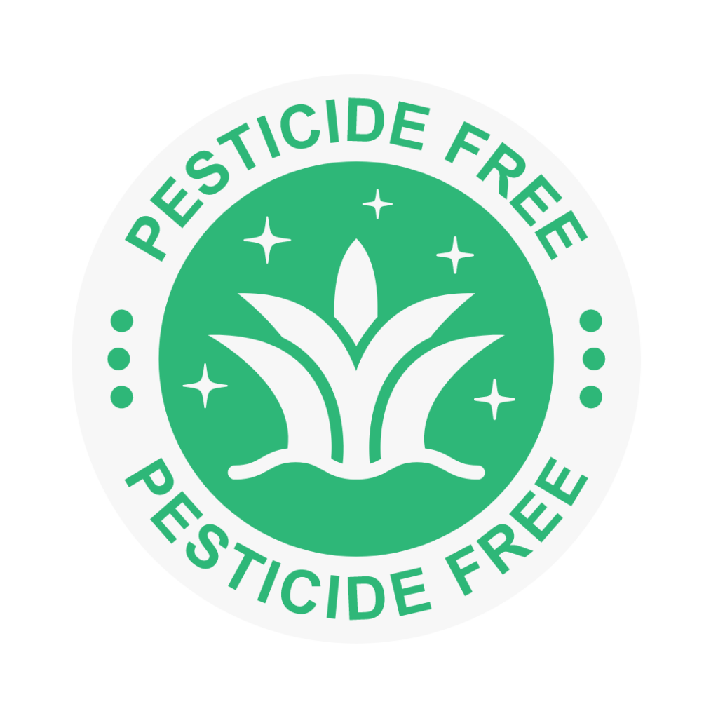 gradina fara pesticide-biotop garden design