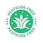 gradina fara pesticide-biotop garden design