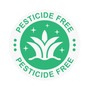 gradina fara pesticide-biotop garden design